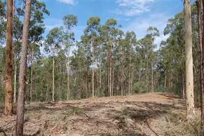 Main view of Homely land listing, Lot 15 Beattie Road, Mundoolun QLD 4285