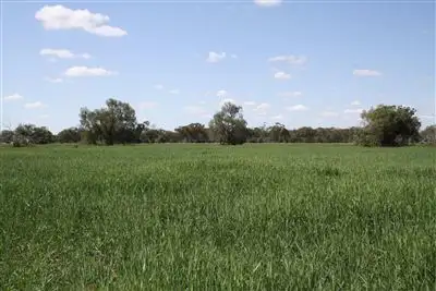 Third view of Homely rural property listing, 12505 Merri Merri Rd, Coonamble NSW 2829