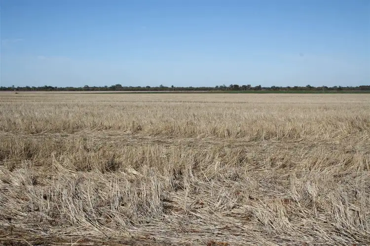 Fourth view of Homely rural property listing, 4978 Mitchell Highway, Narromine NSW 2821