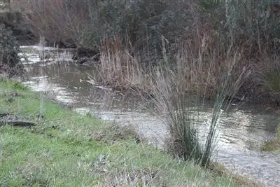 Fifth view of Homely land listing, 101 UT Creek Road, Alexandra VIC 3714