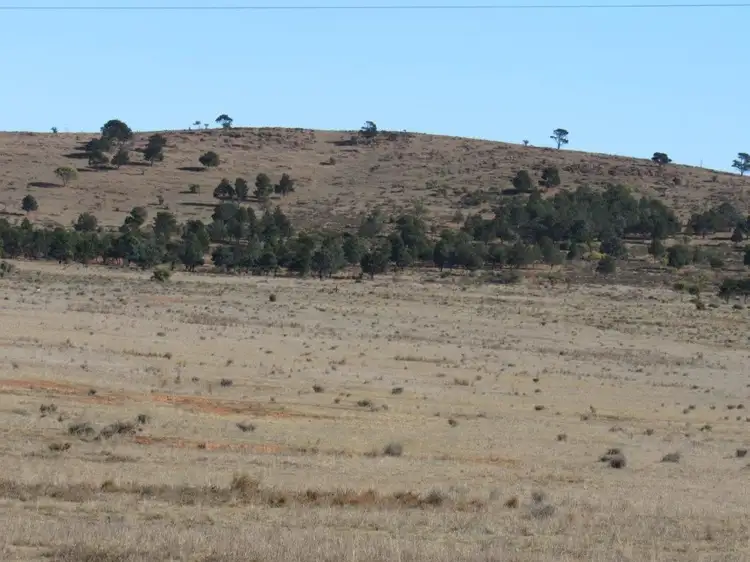 Main view of Homely rural property listing, * Barrier Highway, Ucolta (Via), Peterborough SA 5422