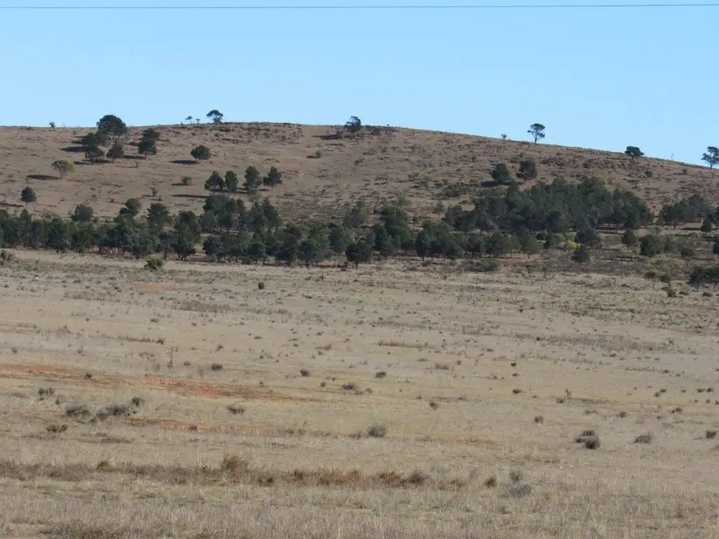 Main view of Homely rural property listing, * Barrier Highway, Ucolta (Via), Peterborough SA 5422