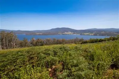 Fifth view of Homely land listing, Lot 3 Cygnet Coast Road, Petcheys Bay TAS 7109