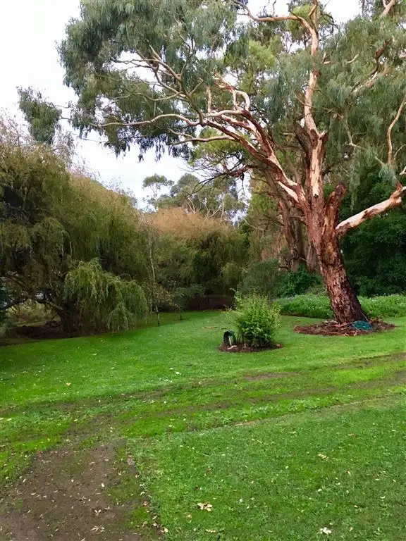 Sixth view of Homely rural property listing, Address available on request