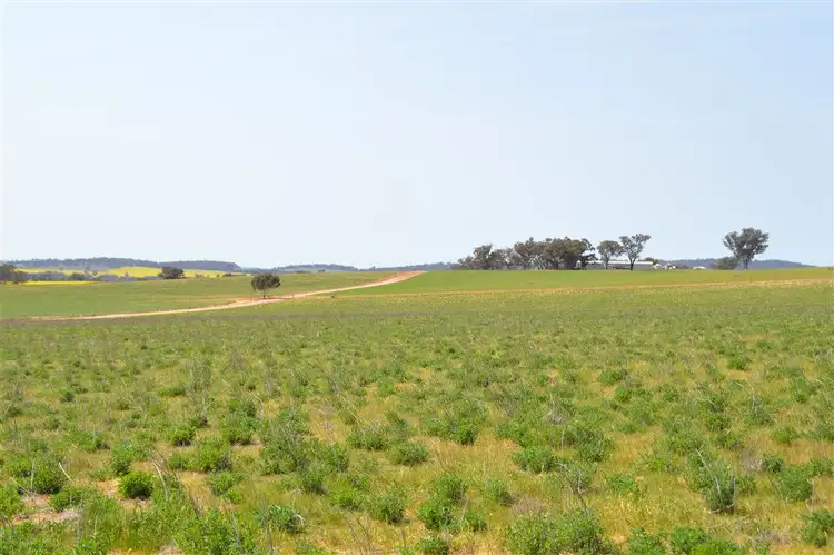 Third view of Homely rural property listing, Clearview Tooyal School Road, Wagga Wagga NSW 2650