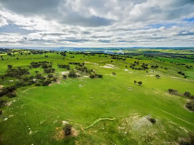 Fifth view of Homely rural property listing, 249 York-Williams Road, Beverley WA 6304