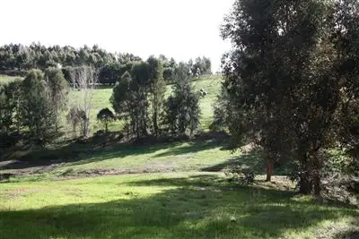 Second view of Homely rural property listing, 142 DAVIES STREET, Bridgetown WA 6255