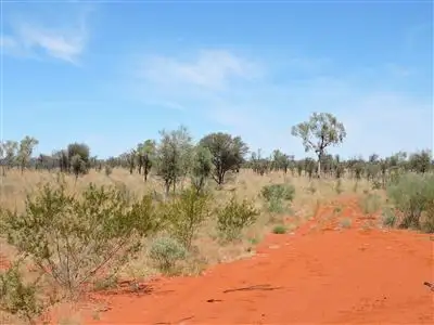 Fifth view of Homely rural property listing, Portion 6110 & 6108 Central Australia, Ti Tree NT 872