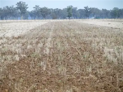 Fourth view of Homely rural property listing, 42 Wythes Lane, Forbes NSW 2871