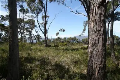 Seventh view of Homely land listing, 5136 Channel Highway, Gordon TAS 7150