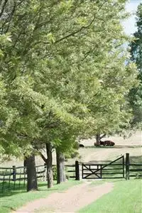 Fifth view of Homely rural property listing, 2072 Upper Dartbrook Rd, "Karinya", Scone NSW 2337