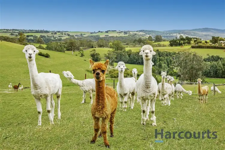 Fifth view of Homely rural property listing, 2035 Main Neerim Road, Neerim South VIC 3831