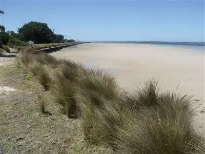 Main view of Homely rural property listing, 115 Langs Road, Robertsons Beach VIC 3971