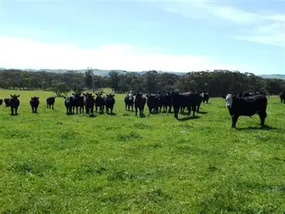 Seventh view of Homely rural property listing, 515 Fuller Road, Foster VIC 3960