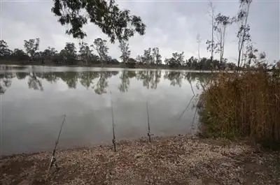 Main view of Homely rural property listing, 5416 Murraylands Drive, Swan Reach SA 5354