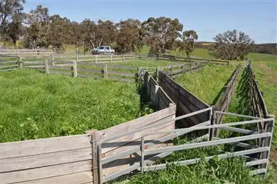 Fifth view of Homely rural property listing, Address available on request