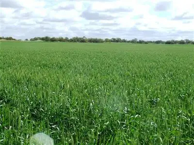Seventh view of Homely rural property listing, Address available on request