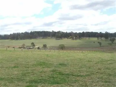 1052 Pinkett Road, Guyra NSW 2365