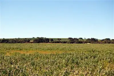 Seventh view of Homely rural property listing, 120 Douglas Rd, Gingin WA 6503