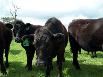 Sixth view of Homely rural property listing, 000 Harman's Road, Gazette VIC 3289