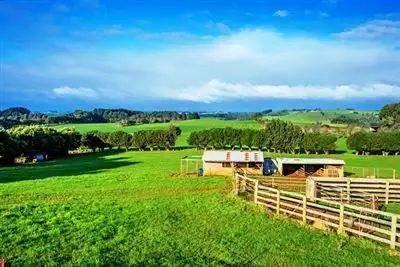 Main view of Homely rural property listing, 17245 Bass Highway, Boat Harbour TAS 7321