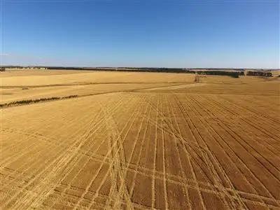 Third view of Homely rural property listing, 382 Mount William Road, Skipton VIC 3361
