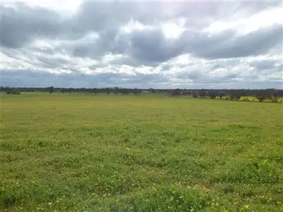 Sixth view of Homely land listing, 57 Lower Norton- Nurrabiel Road, Lower Norton, Horsham VIC 3400