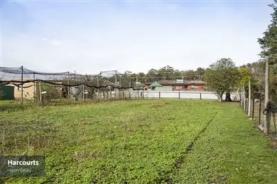 Main view of Homely land listing, 19 Emma Street, Cygnet TAS 7112