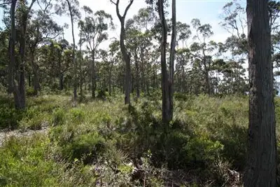 Fifth view of Homely land listing, 5136 Channel Highway, Gordon TAS 7150