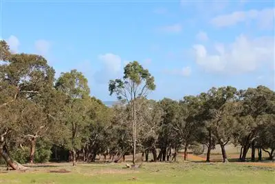 Main view of Homely land listing, Lot 602 Pine Rise, Kalgan WA 6330