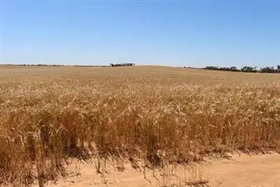 Third view of Homely rural property listing, . Yetman Lane, Ouyen VIC 3490