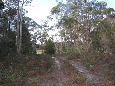 Second view of Homely land listing, Lot 3 Greens Beach Road, York Town TAS 7270