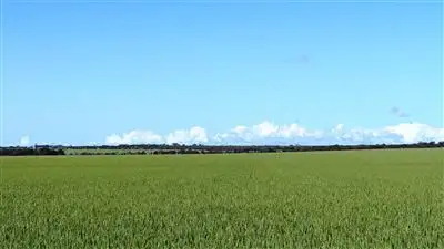 Fourth view of Homely rural property listing, Address available on request