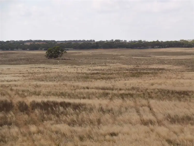 Sixth view of Homely rural property listing, 304 Stutley Road, Halidon SA 5309