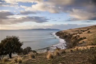 Fifth view of Homely land listing, 311 Forest Hill Road, Sandford TAS 7020