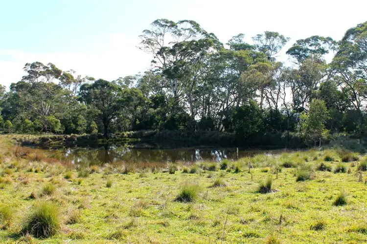 Seventh view of Homely rural property listing, Cnr Araluen Road and Monga Lane Reidsdale, Braidwood NSW 2622