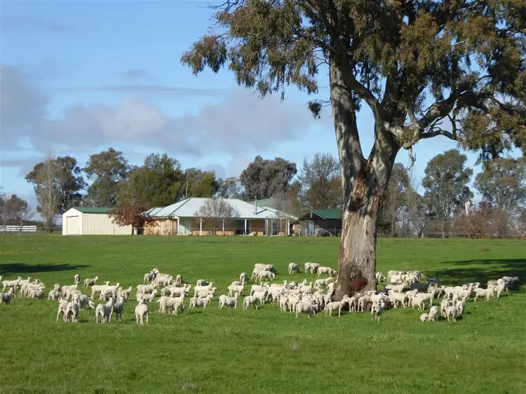 39 Bethel Road, Burrumbuttock NSW 2642