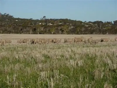 Main view of Homely rural property listing, Address available on request
