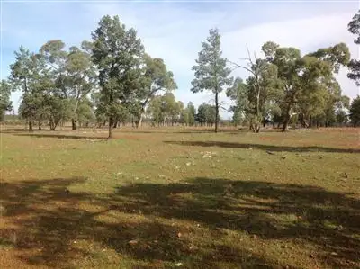 Main view of Homely rural property listing, Wangaroa/4577 Trida Road, Hillston NSW 2675