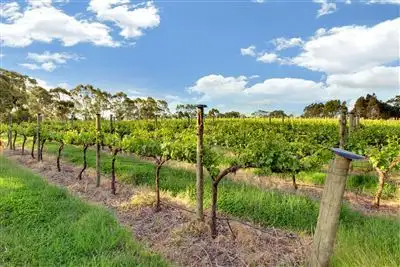 Fifth view of Homely house listing, 38 Kings Road, Woodside SA 5244