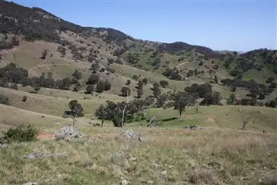 Sixth view of Homely rural property listing, 1534 Castlereagh Highway, Mudgee NSW 2850