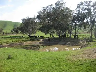 Fifth view of Homely rural property listing, 1073 Dairy Creek Road, Yea VIC 3717