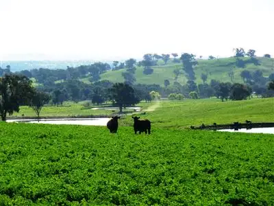 Second view of Homely rural property listing, 211 Plunkett Road, Table Top NSW 2640