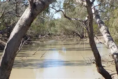 Main view of Homely rural property listing, " Nidgery Downs", Nyngan NSW 2825