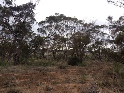 Second view of Homely land listing, L409 Jamieson Street, Ravensthorpe WA 6346
