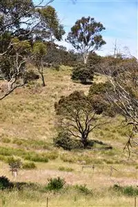 Sixth view of Homely rural property listing, 740 Honeysuckle Road, Ross TAS 7209