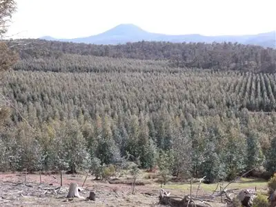 Main view of Homely rural property listing, Williams Road, Royal George TAS 7213