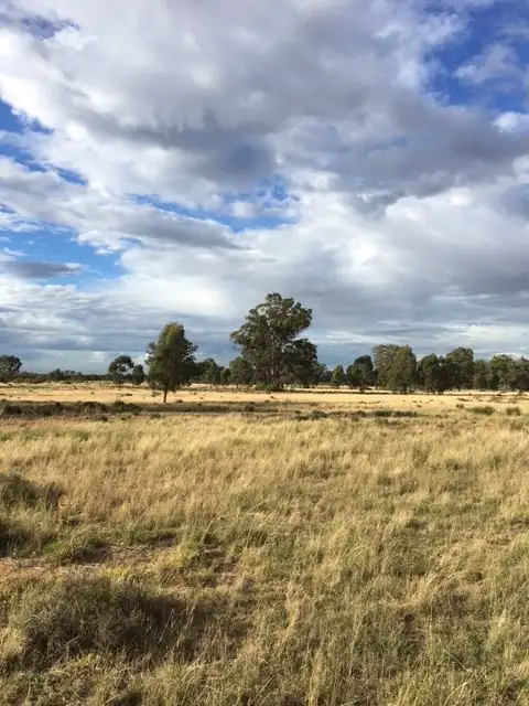 Third view of Homely rural property listing, 56L Maiala Road Eumungerie, Dubbo NSW 2830