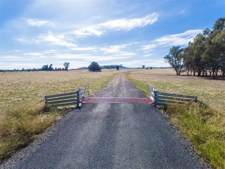Fourth view of Homely rural property listing, "Hillview"/186 Wagga Road, Holbrook NSW 2644