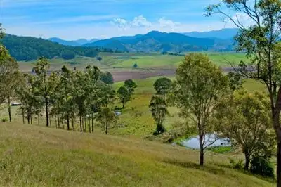 Fifth view of Homely rural property listing, 9 Figtree Valley Road, Yarras NSW 2446